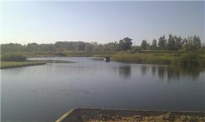 Horarios definitivos del SERTRI