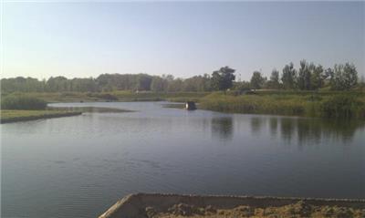 Horarios definitivos del SERTRI