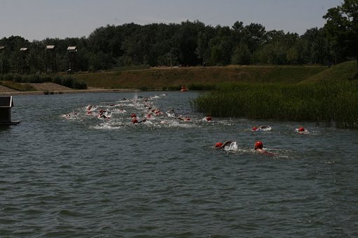 Boletín Informativo Final Campus de Triatlón "Niños de Acero"